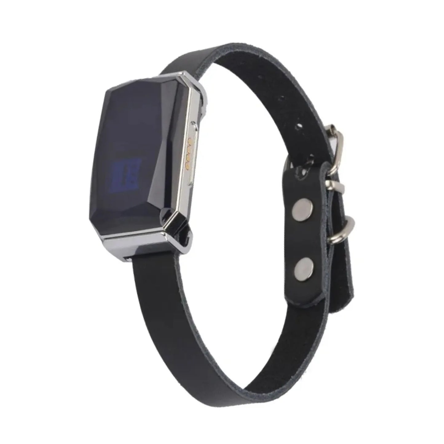 Smart GPS Pet Tracker Collar Real-Time Tracking 5m Accuracy IP67 Waterproof 10-Day Battery Geofence Alerts Dogs Cats Positioning