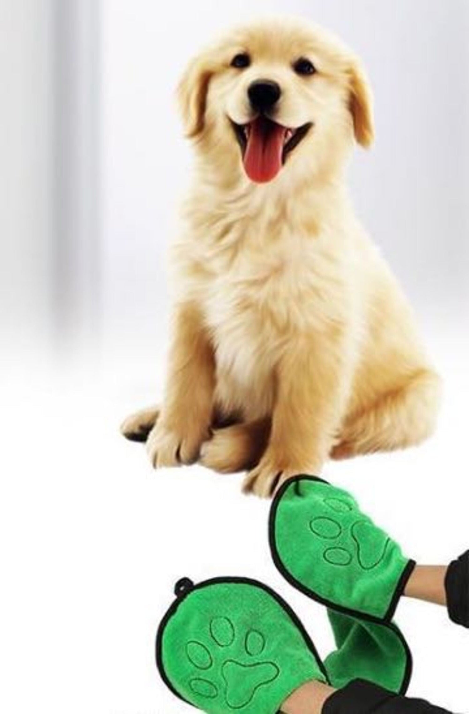 Pet Supplies