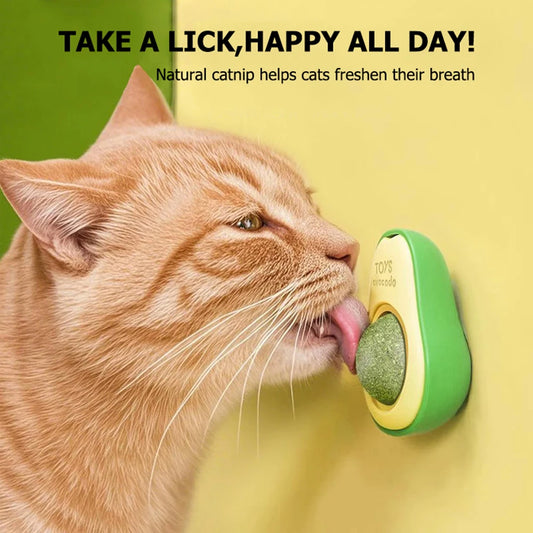 Natural Catnip Healthy Rotatable Wall Stick-on Ball Cats Teeth Cleaning Catnip Wall Ball Avocado Shaped Cute Cat Toys